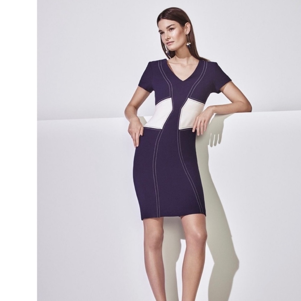 Ann Taylor Navy Blue Sheath Dress